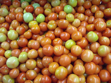 Island farmers will market locally grown tomatoes during their trip to New York. (Credit: Wikipedia)